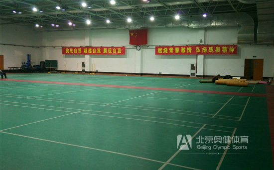 光面pvc塑膠卷材羽毛球場(chǎng)