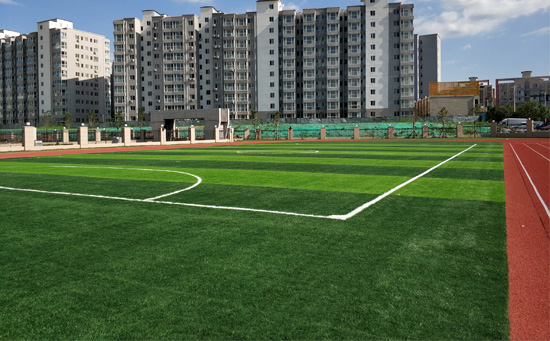 小學人造草足球場地圖片